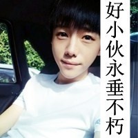 花巷子少年