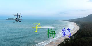 图形验证码